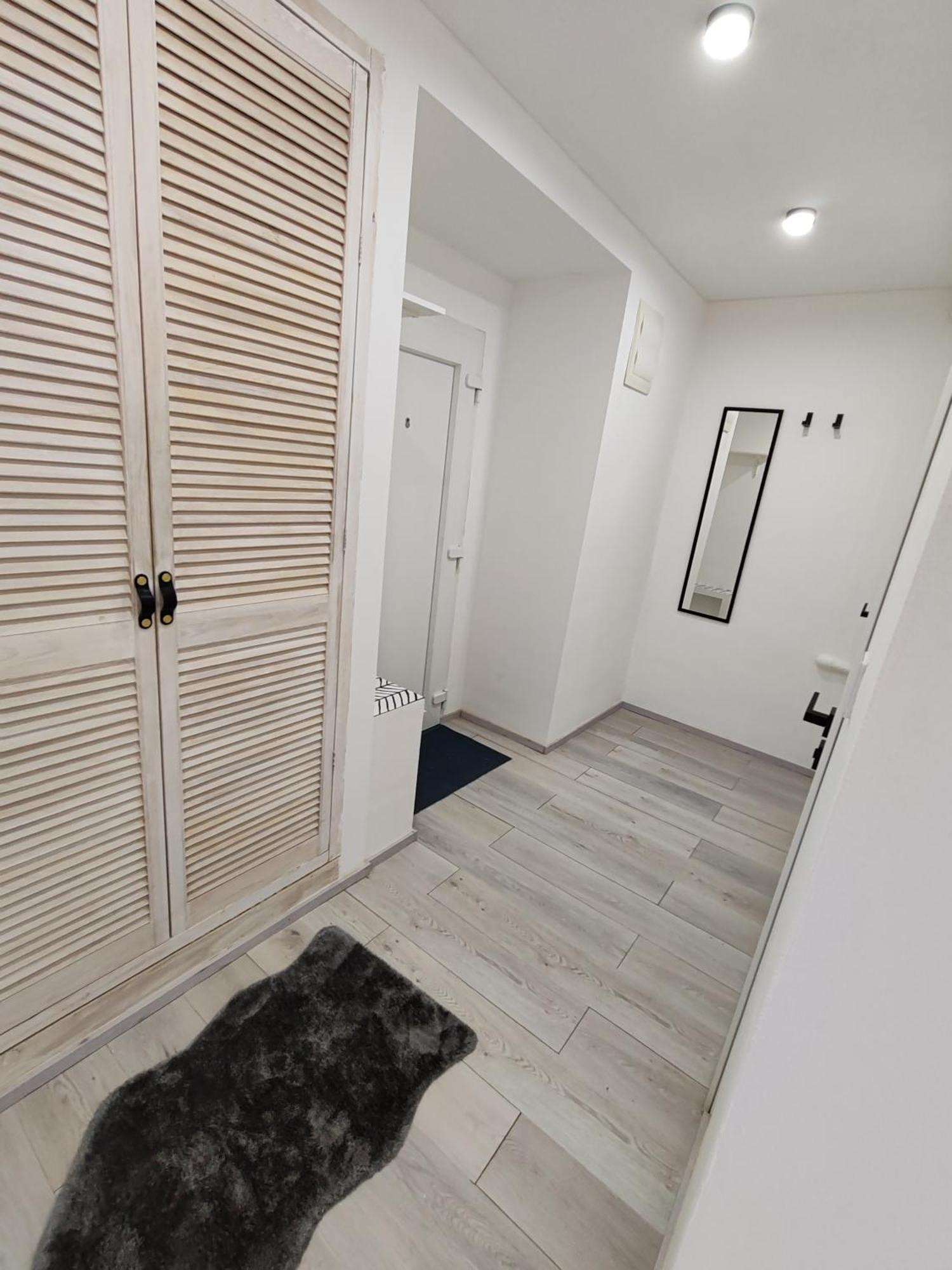 Apartman Brezinova ブルノ エクステリア 写真