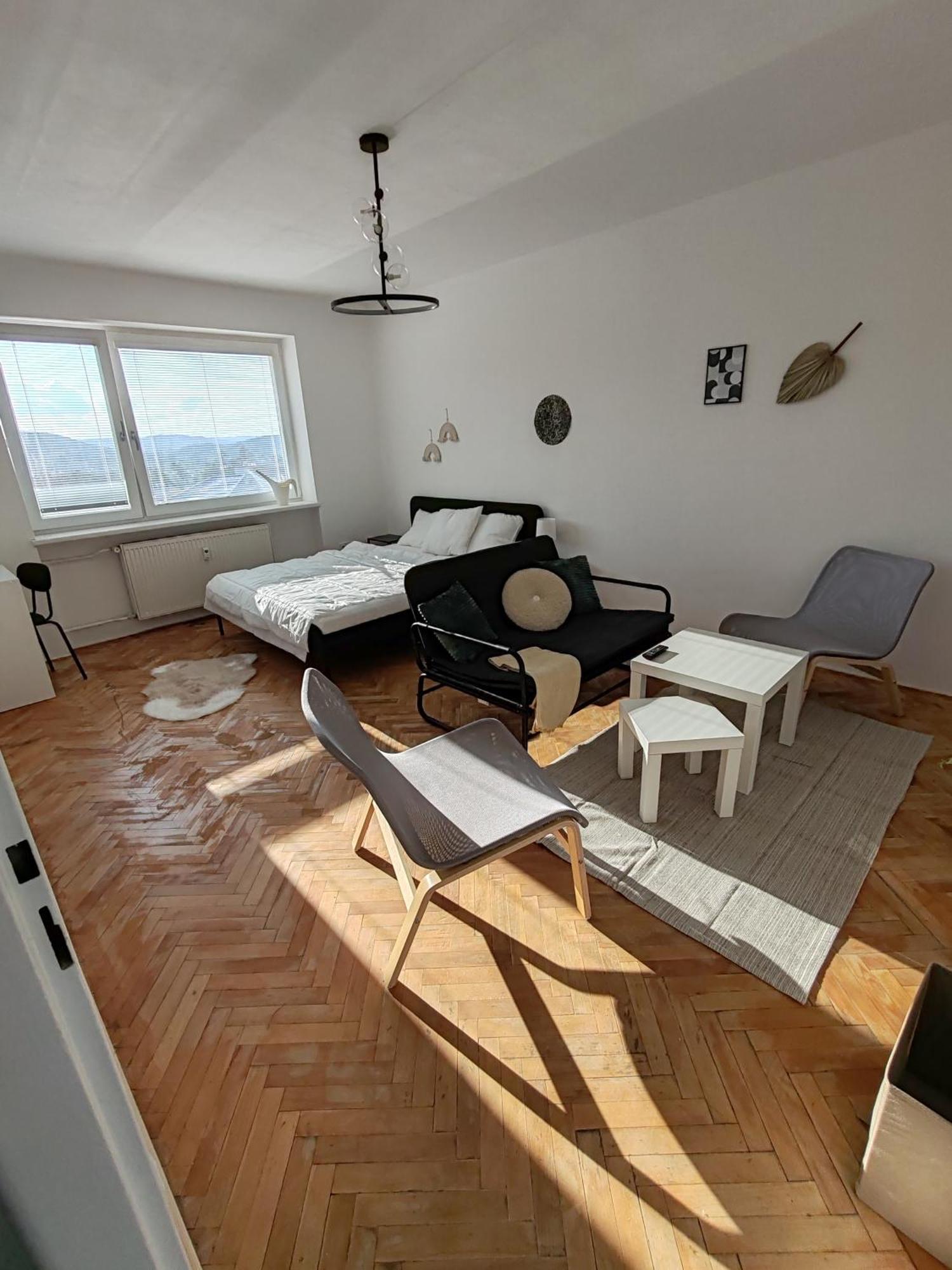 Apartman Brezinova ブルノ エクステリア 写真