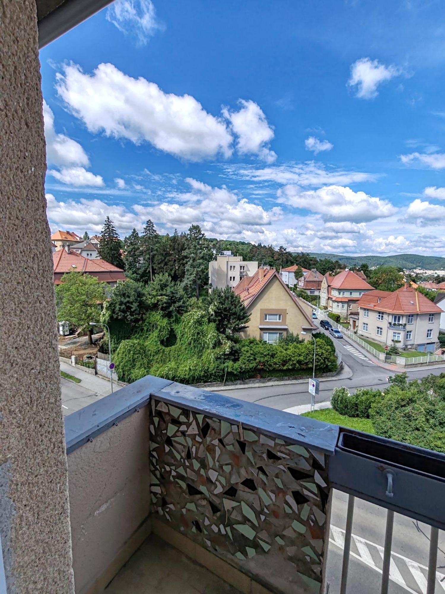 Apartman Brezinova ブルノ エクステリア 写真